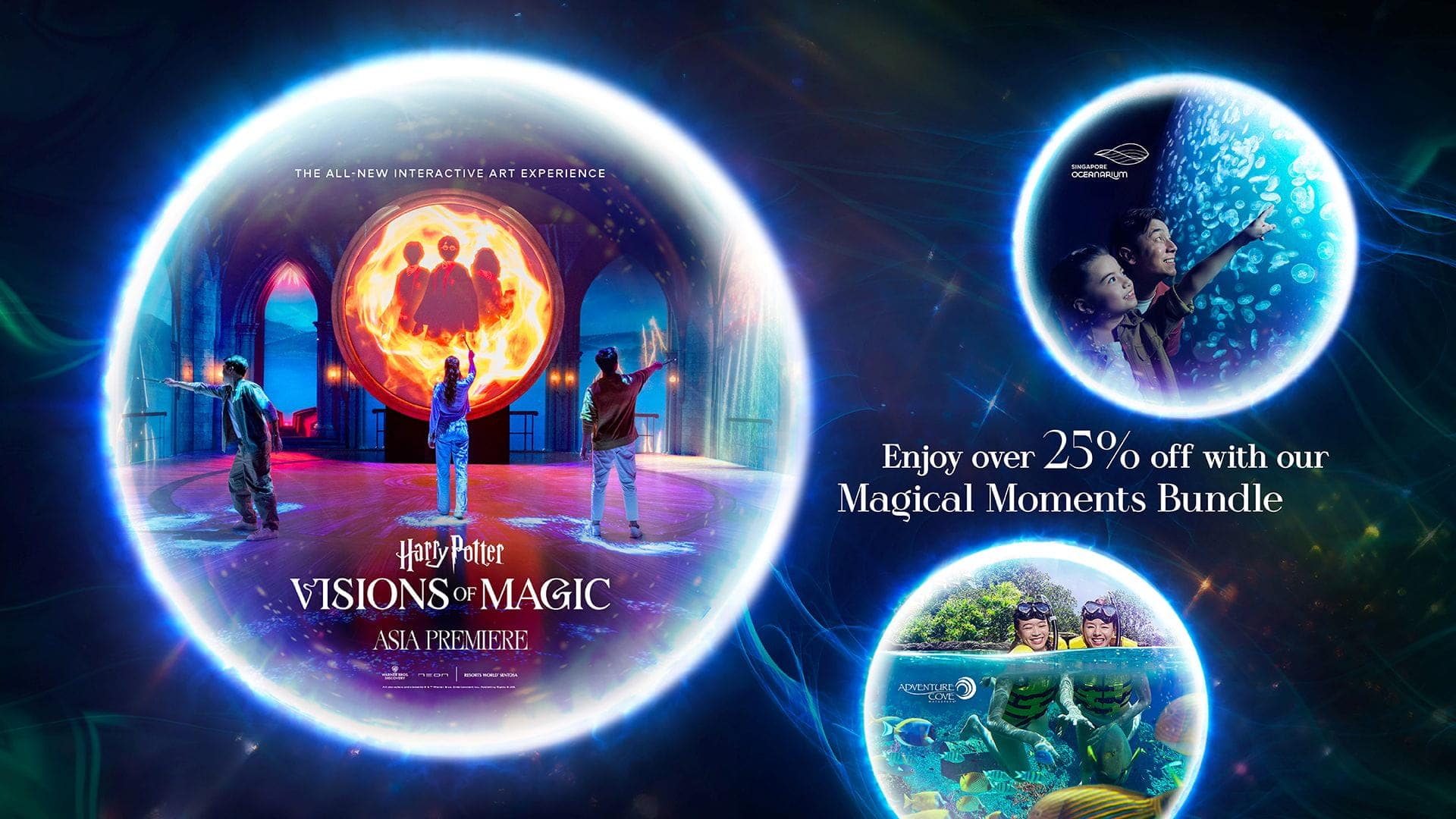 Harry Potter - Visions of Magic Masthead